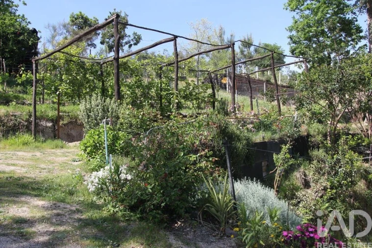 Terreno para Venda em Oliveira do Hospital e São Paio de Gramaços Foto 13
