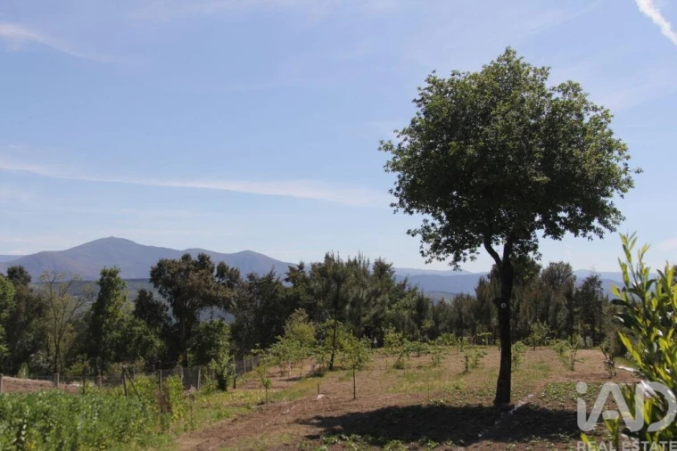 Terreno para Venda em Oliveira do Hospital e São Paio de Gramaços Foto 9