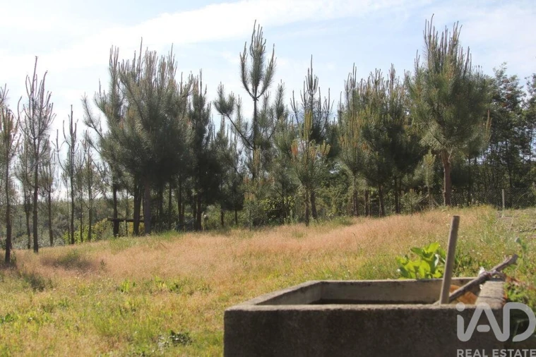Terreno para Venda em Oliveira do Hospital e São Paio de Gramaços Foto 15