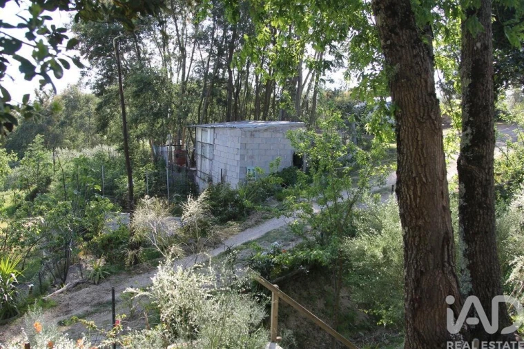 Terreno para Venda em Oliveira do Hospital e São Paio de Gramaços Foto 21