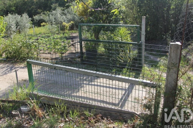 Terreno para Venda em Oliveira do Hospital e São Paio de Gramaços Foto 6