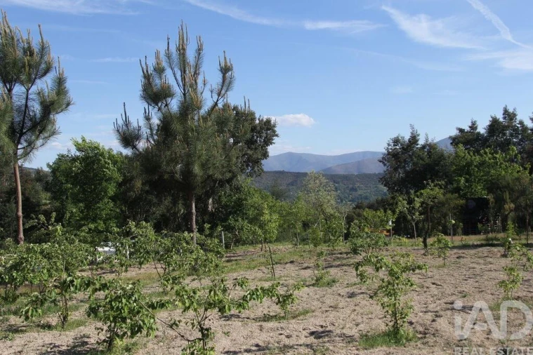 Terreno para Venda em Oliveira do Hospital e São Paio de Gramaços Foto 16