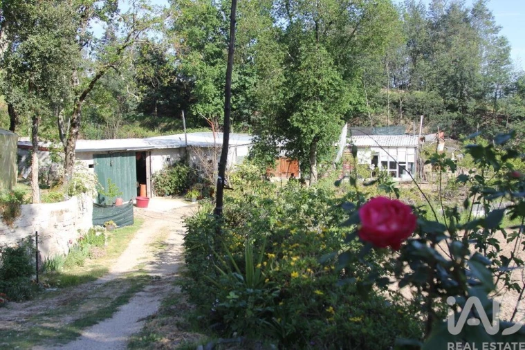 Terreno para Venda em Oliveira do Hospital e São Paio de Gramaços Foto 18