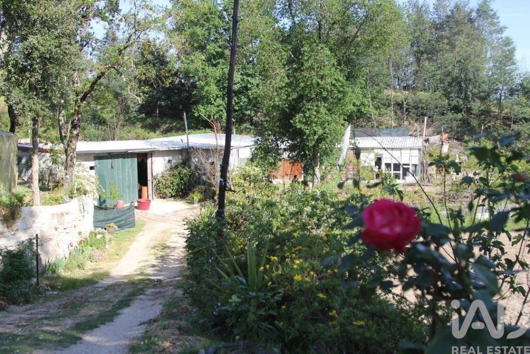 Terreno para Venda em Oliveira do Hospital e São Paio de Gramaços Foto 18