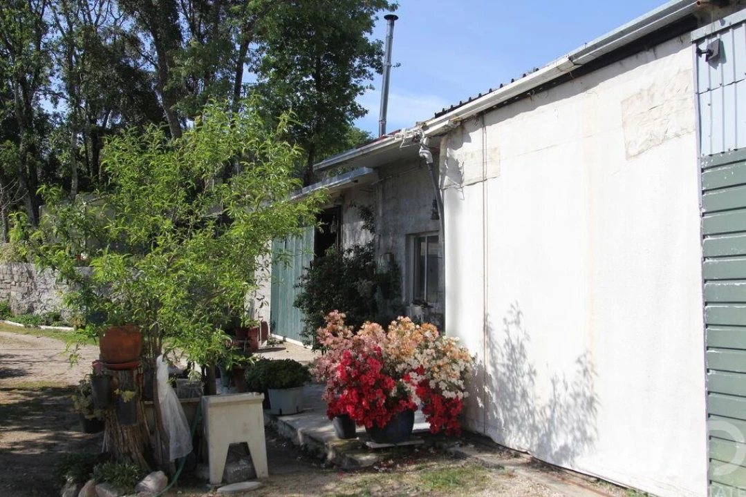 Terreno para Venda em Oliveira do Hospital e São Paio de Gramaços Foto 34
