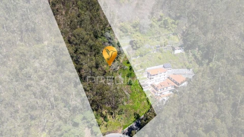 Terreno para Venda em Santo Antonio