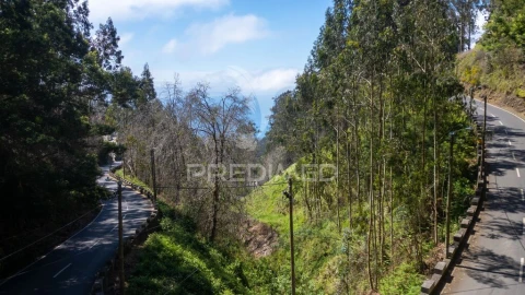 Terreno para Venda em Santo Antonio