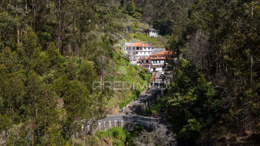 Terreno para Venda em Santo Antonio Foto 8