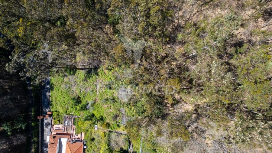 Terreno para Venda em Santo Antonio Foto 10