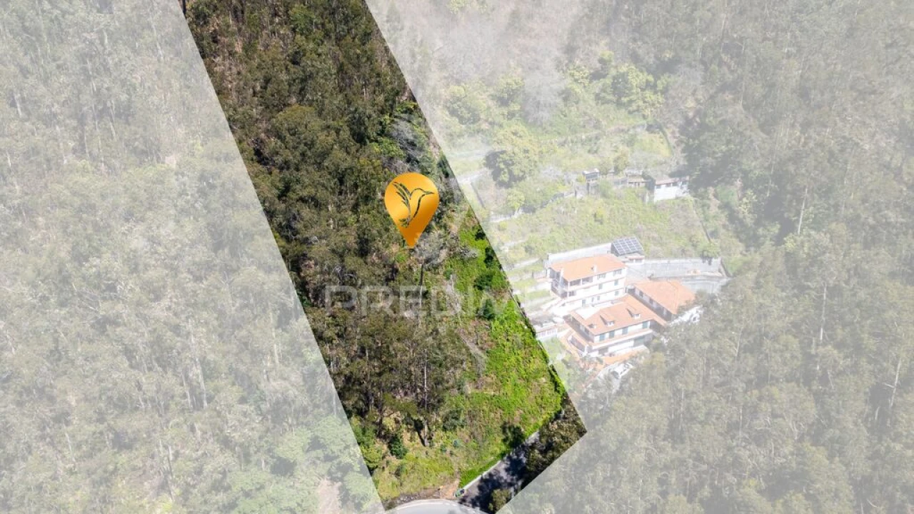 Terreno para Venda em Santo Antonio Foto 10