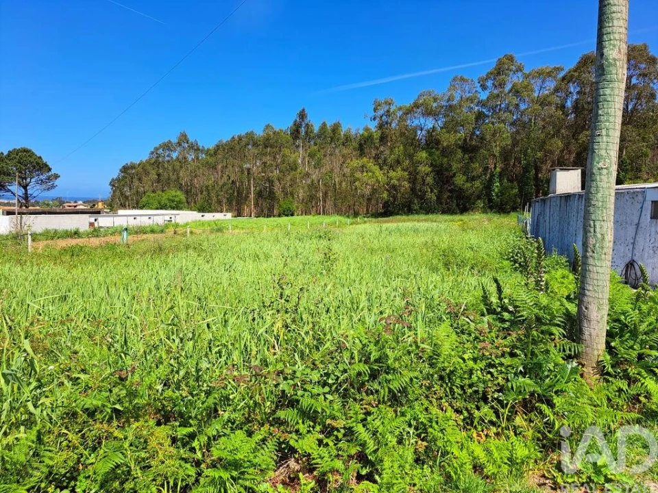 Terreno para Venda em Esmoriz Foto 1