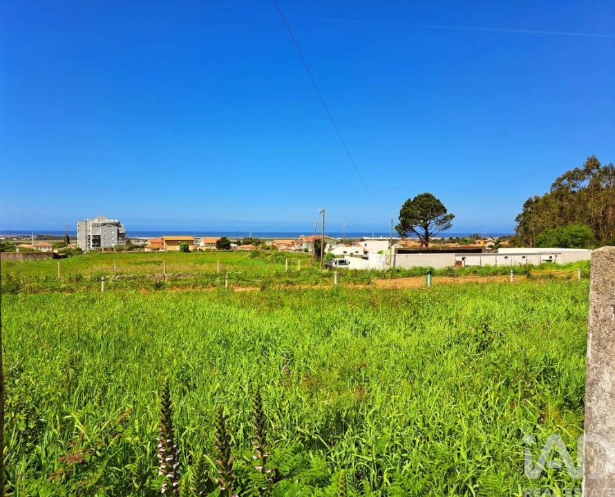 Terreno para Venda em Esmoriz Foto 3