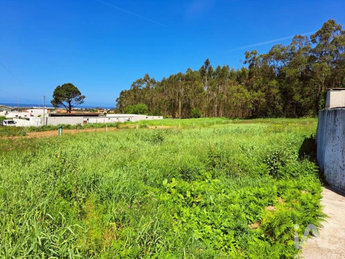Terreno para Venda em Esmoriz Foto 2