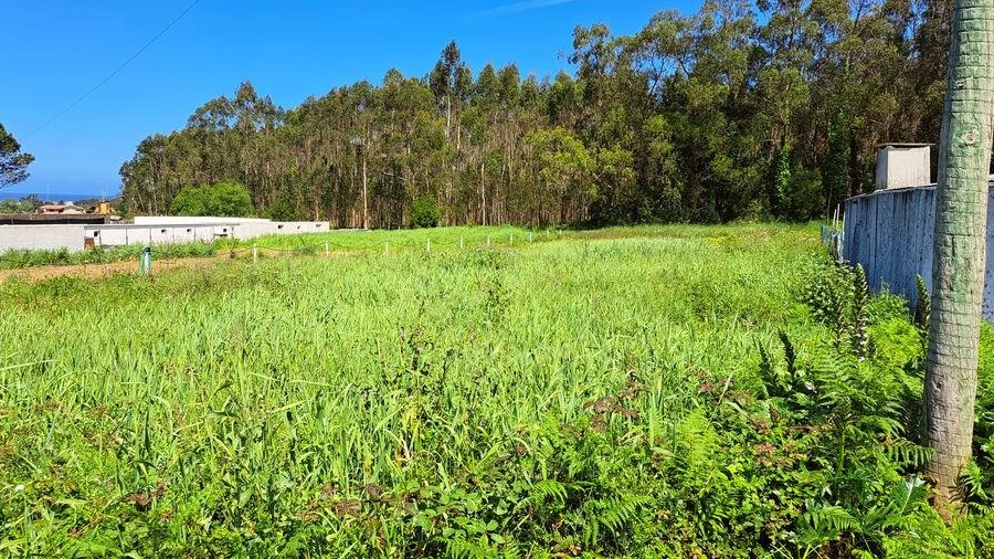 Terreno para Venda em Esmoriz