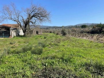 Terreno para Venda em Cumeeira