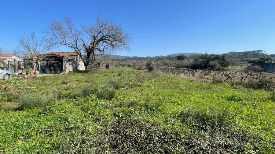 Terreno para Venda em Cumeeira
