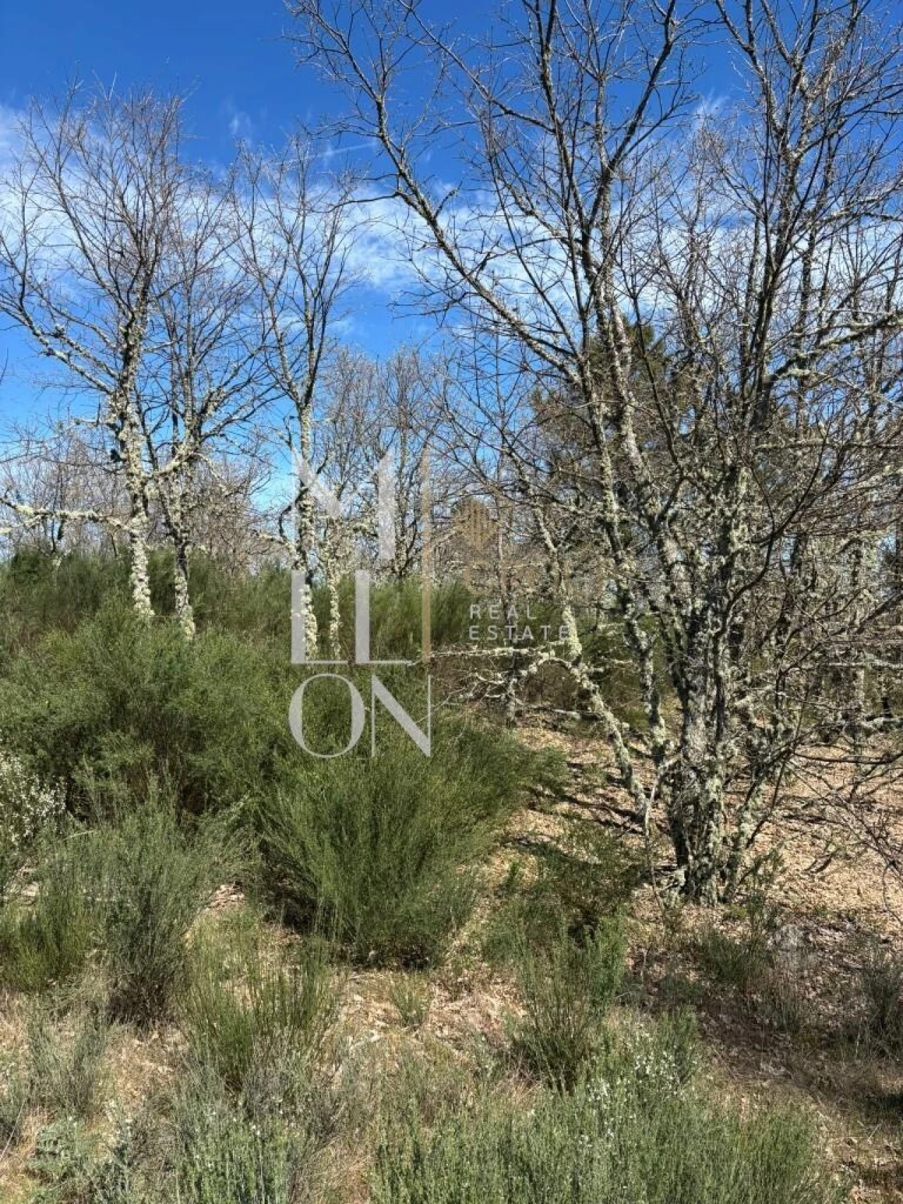 Terreno para Venda em Panoias de Cima Foto 2