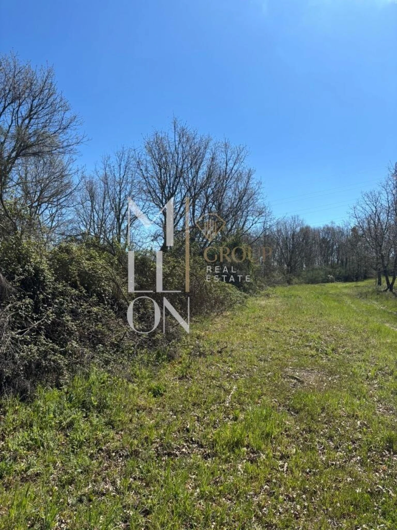 Terreno para Venda em Panoias de Cima Foto 1