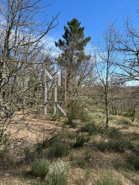 Terreno para Venda em Panoias de Cima
