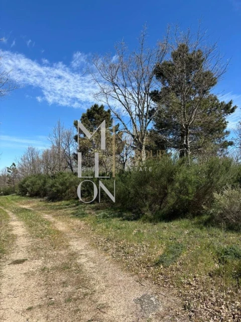 Terreno para Venda em Panoias de Cima