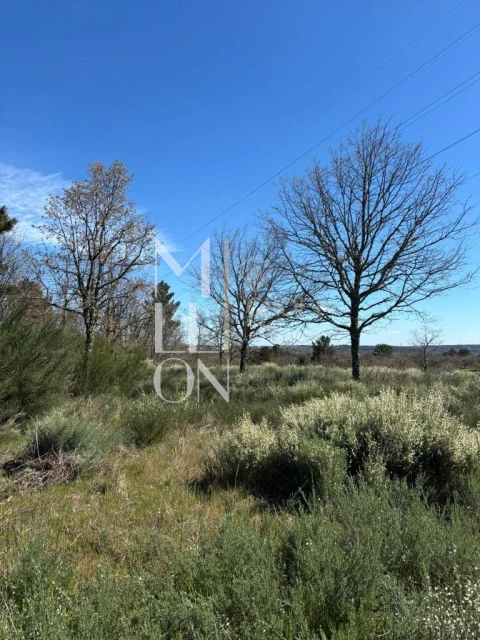 Terreno para Venda em Panoias de Cima