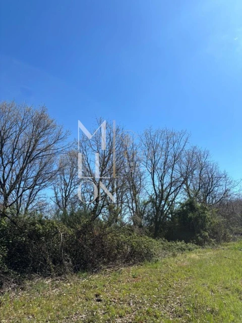 Terreno para Venda em Panoias de Cima