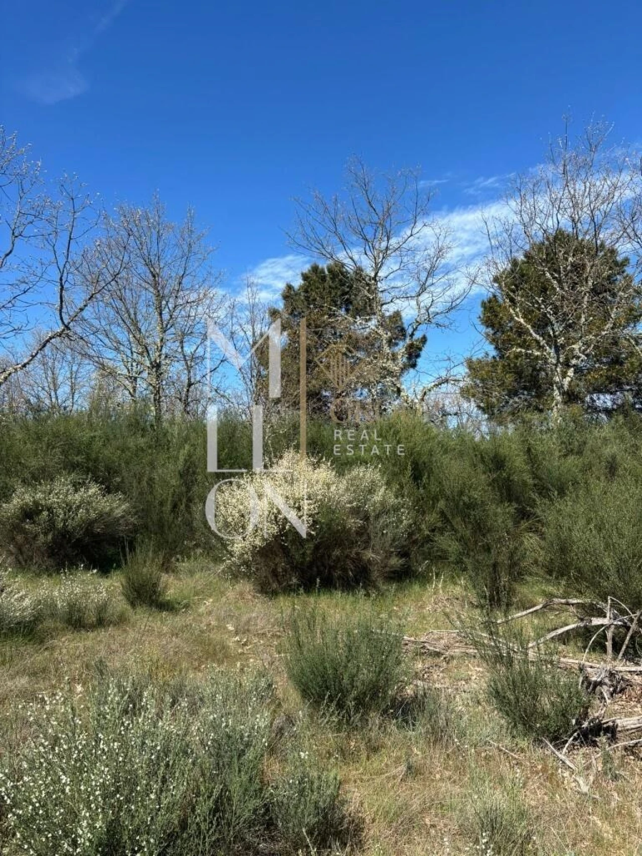 Terreno para Venda em Panoias de Cima Foto 5