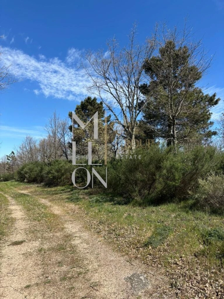Terreno para Venda em Panoias de Cima Foto 3