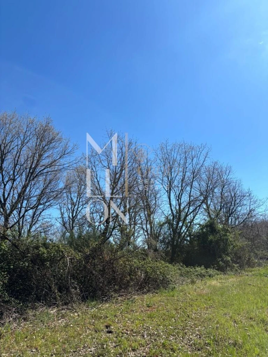 Terreno para Venda em Panoias de Cima Foto 4