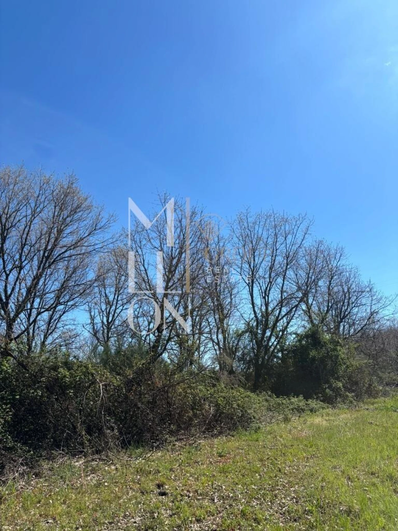 Terreno para Venda em Panoias de Cima Foto 4