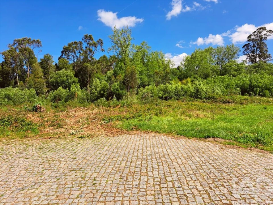 Terreno para Venda em Cortegaça Foto 3