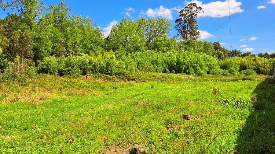 Terreno para Venda em Cortegaça