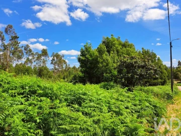 Terreno para Venda em Esmoriz