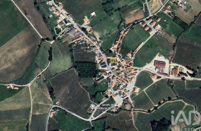 Terreno para Venda em Peral