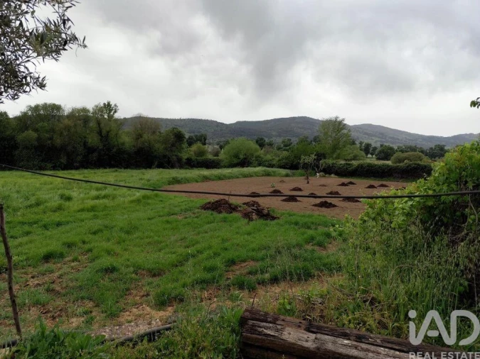 Moradia T2 para Venda em São Salvador da Aramenha Foto 13