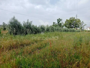Terreno para Venda em Parceiros e Azoia