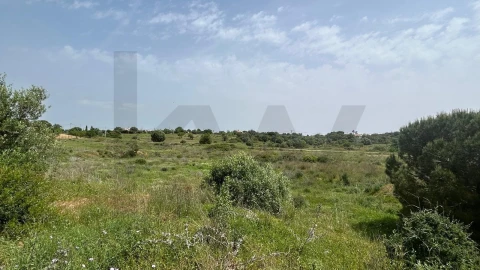 Terreno para Venda em Lagoa e Carvoeiro