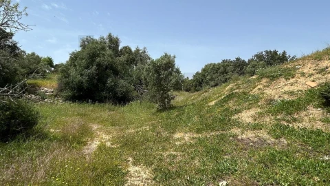 Terreno para Venda em Lagoa e Carvoeiro