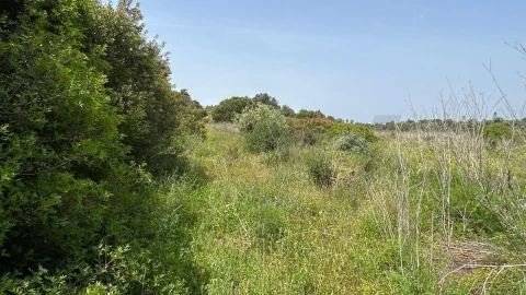 Terreno para Venda em Lagoa e Carvoeiro