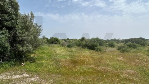 Terreno para Venda em Lagoa e Carvoeiro