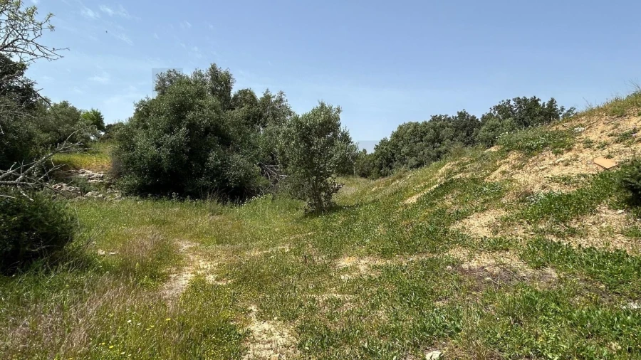 Terreno para Venda em Lagoa e Carvoeiro Foto 8