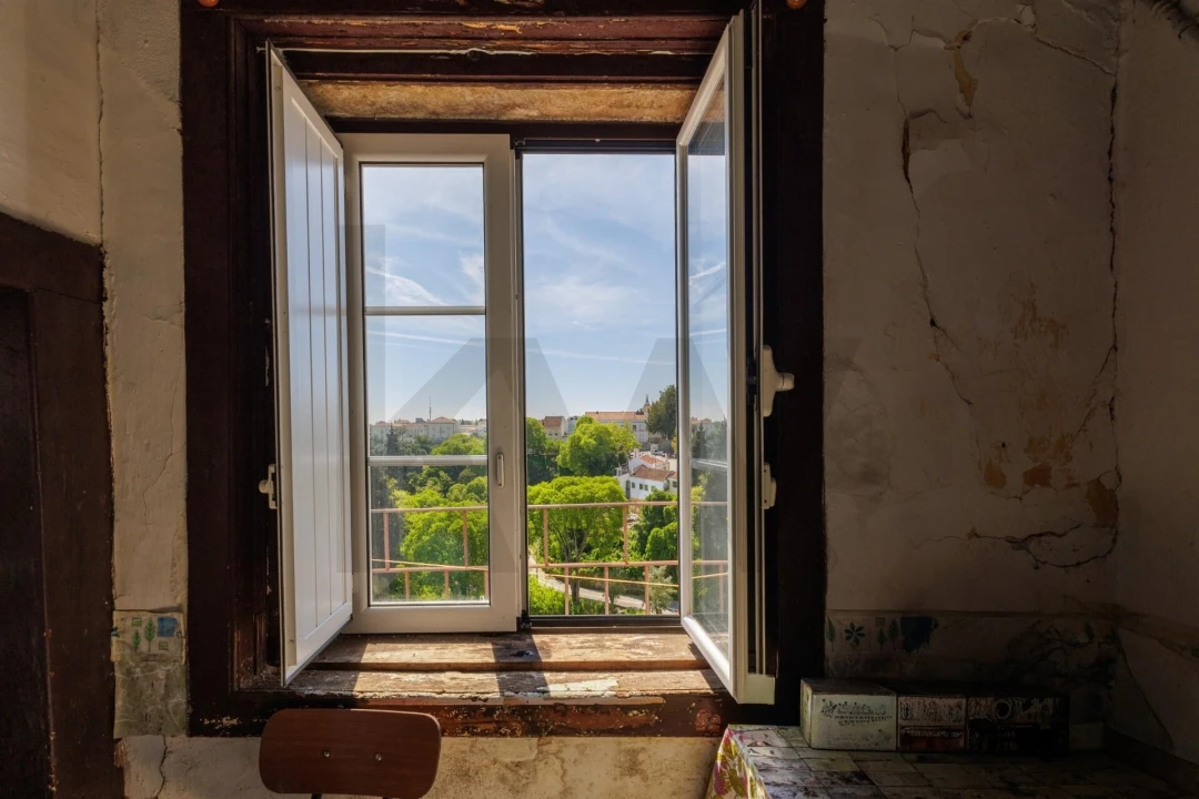 Prédio para Venda em Romeira e Várzea Foto 46