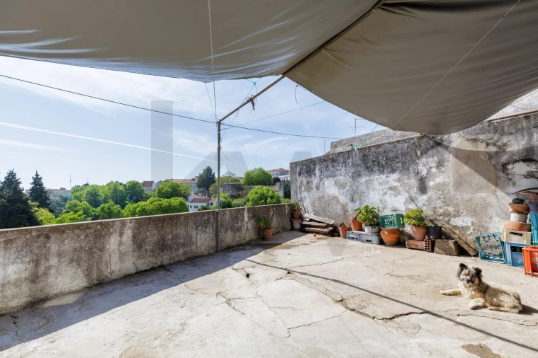 Prédio para Venda em Romeira e Várzea Foto 14