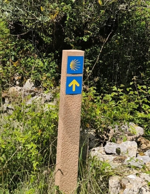 Moradia T3 para Venda em Almoster