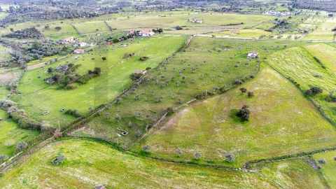 Terreno para Venda em Espírito Santo, Nossa Senhora da Graça e São Simão