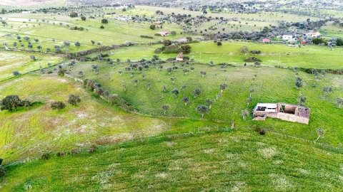 Terreno para Venda em Espírito Santo, Nossa Senhora da Graça e São Simão