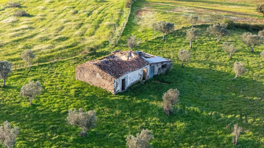 Terreno para Venda em Espírito Santo, Nossa Senhora da Graça e São Simão Foto 3