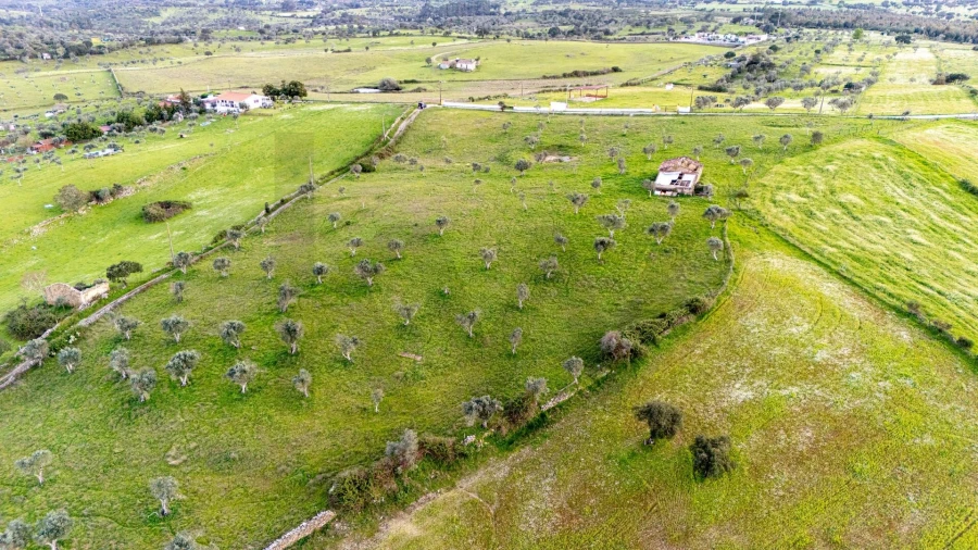 Terreno para Venda em Espírito Santo, Nossa Senhora da Graça e São Simão Foto 11