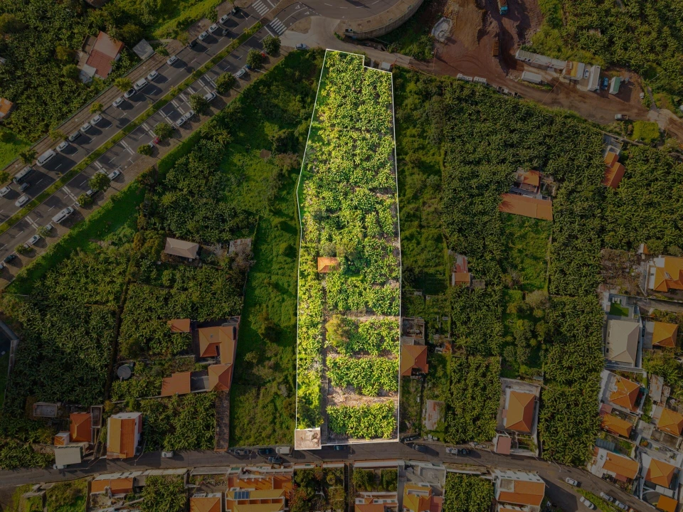 Terreno para Venda em São Martinho Foto 1