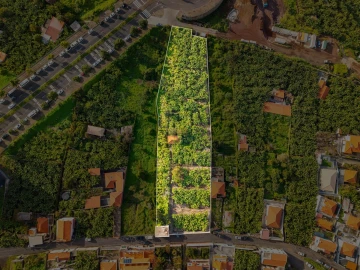 Terreno para Venda em São Martinho